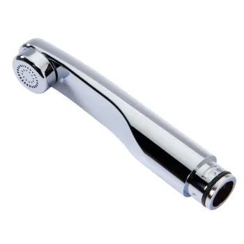 Auslauf Standard Roma, chrom