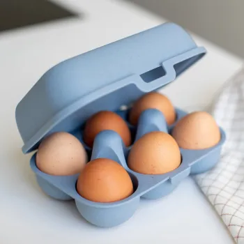 Eierbox mini EGGS TO GO, blau