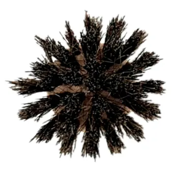 Ersatz Spülbürstenkopf