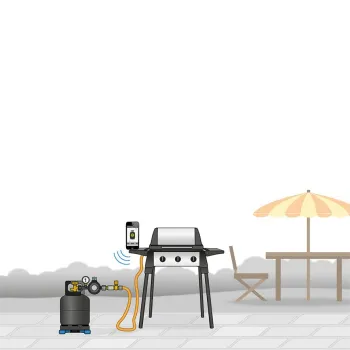 Grillregler Basic, Niederdruckregler