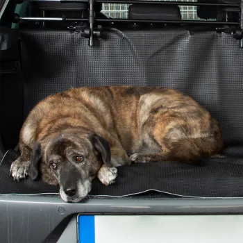 Kofferraum- und Schmutzfangmatte Premium