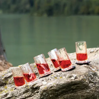 Magnet-Kunststoffgläser, Schnapsglas