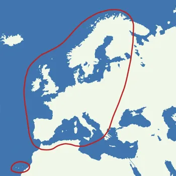 Sat-Anlage AutoSat 2S 85 Control, Twin Skew GPS, 85 cm