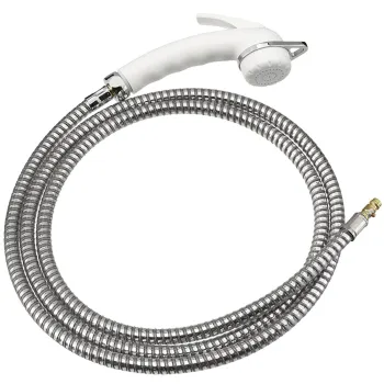 Stellbrause Charisma mit Schlauch, chrom