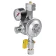 Gasregler 1,5 kg/h Komb.A x RVS10 UEDS KH Man.