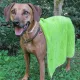 Hundehandtuch Pet Towel
