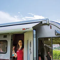 Markise Fiammastore F45 - 425 Titanium, Royal Grey