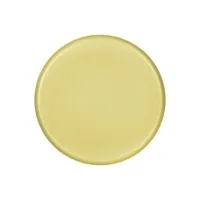 Geschirr Dolomit Collection, gelb, Dessertteller