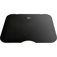 Glasabdeckung schwarz für Thetford-Spülbecken Basic Line 34, Beckenmaße 40 x 44,5 cm -