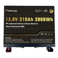 Lithium Batterie PF-Underseat-12-310