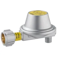 Niederdruckregler 0,8 kg/h, L-Form