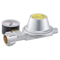 Niederdruckregler Caramatic BasicOne 0,8 kg/h