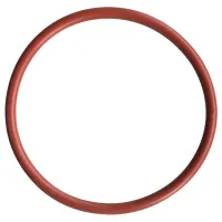 O-Ring 47 x 1 mm, VMQ