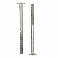 Schraube M6 x 95 - 2 Stück, für Carry Bike