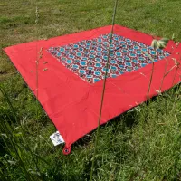 Teppich Zip Carpet“, rot