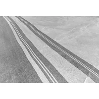 Zeltteppich Trip dunkelgrau / hellgrau, 4 x 2,5 m -